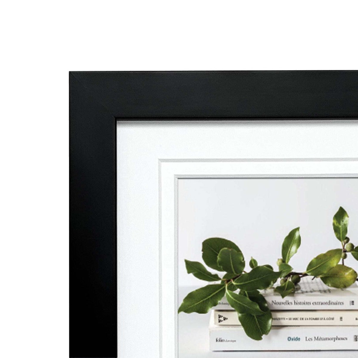 Deluxe Gallery Photo Wall Frame Set B - 6 Frames - Stone Ash