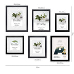 Deluxe Gallery Photo Wall Frame Set B - 6 Frames - Stone Ash