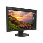 Eizo Coloredge CS2400S 24" LED Monitor 