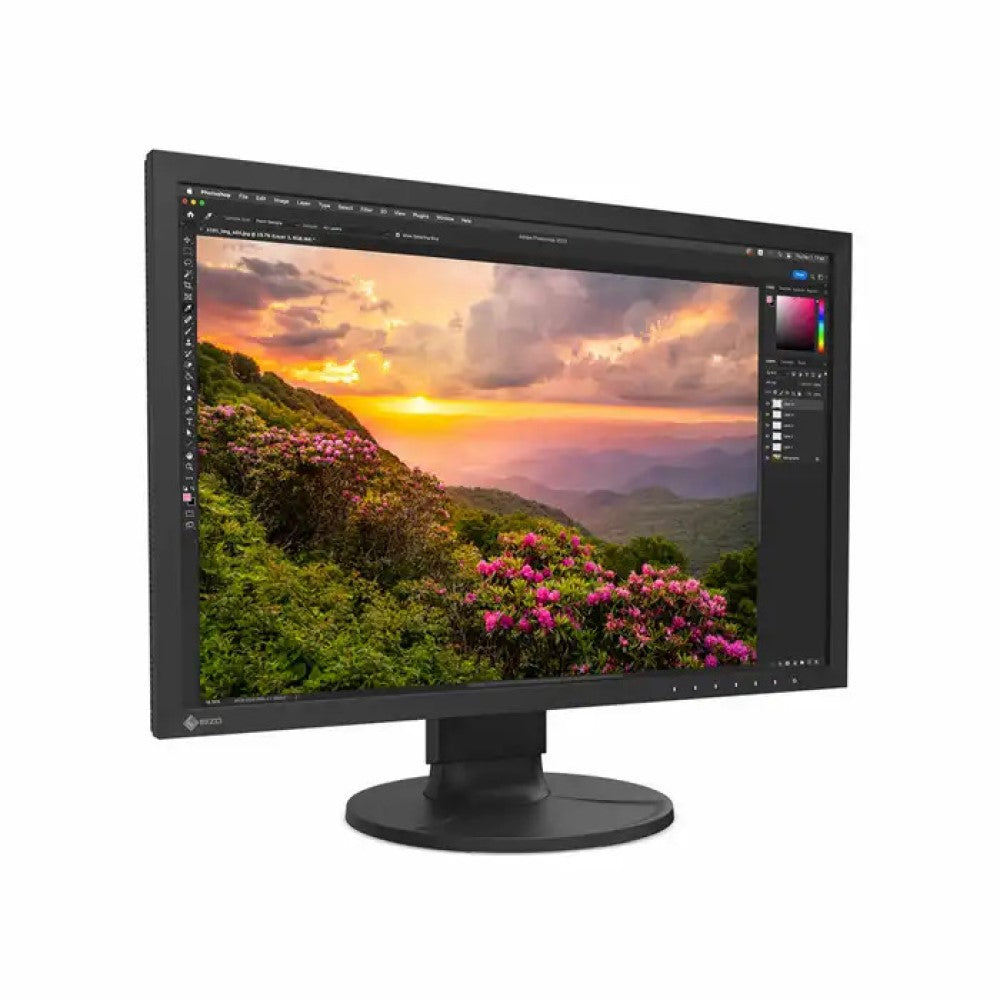 Eizo Coloredge CS2400S 24" LED Monitor 