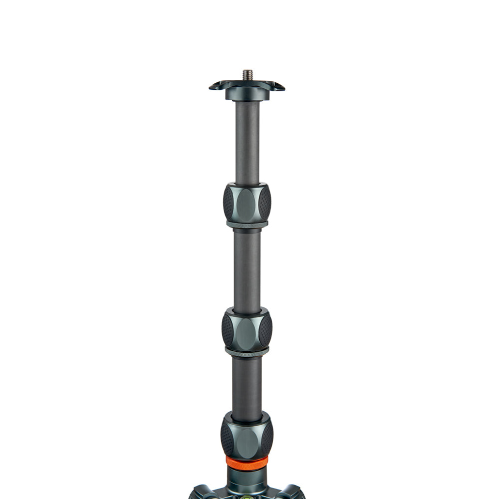  	3 Legged Thing - Pro 2.0 Albert Grey