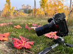 Laowa 85mm f/5.6 2X Ultra Macro APO - Nikon Z 