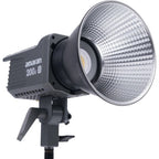 Aputure Amaran 200D S Daylight LED Light 
