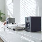 Audioengine A1-MR Multiroom Speakers with DS1 Speaker Stands