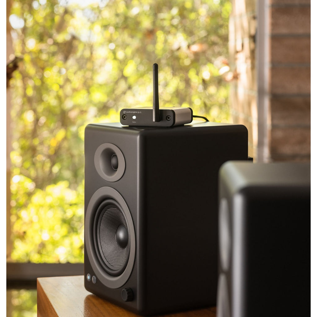Audioengine B-Fi Multiroom Music Streamer