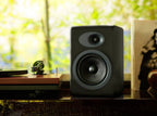 Audioengine A5+ Powered Bookshelf Speakers with DS2 Speaker Stands (Black)