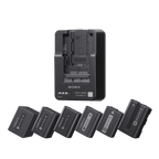 Sony BC-QM1 InfoLithium Battery Charger