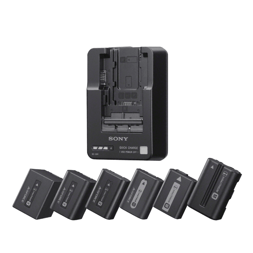Sony BC-QM1 InfoLithium Battery Charger