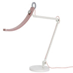 BenQ WiT eReading Desk Lamp