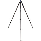 Benro FGP28CV2 Carbon Tripod with Head