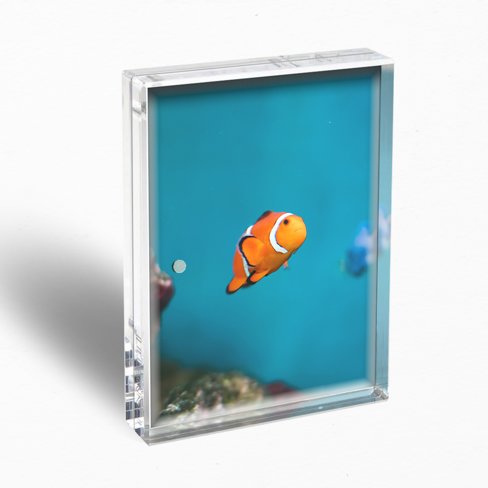 5x7" Acrylic Photo Frame with Print 