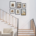 Deluxe Gallery Photo Wall Frame Set B - 6 Frames - Black