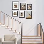 Deluxe Gallery Photo Wall Frame Set B - 6 Frames - Black