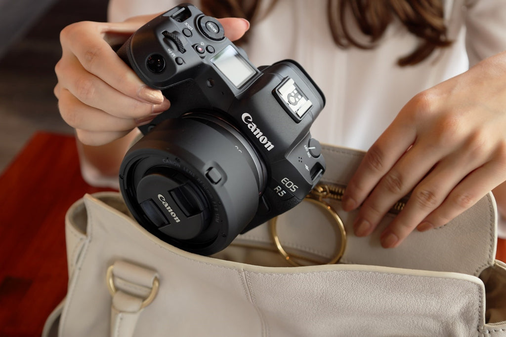 Canon RF 50mm f/1.8 STM Lens