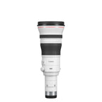 Canon RF 800mm f/5.6 L IS USM Lens