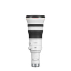 Canon RF 800mm f/5.6 L IS USM Lens