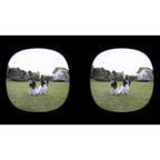 Canon RF-S 3.9mm Dual Fisheye VR Lens