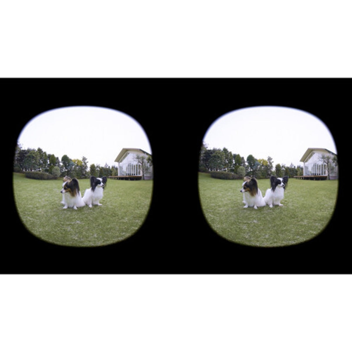 Canon RF-S 3.9mm Dual Fisheye VR Lens
