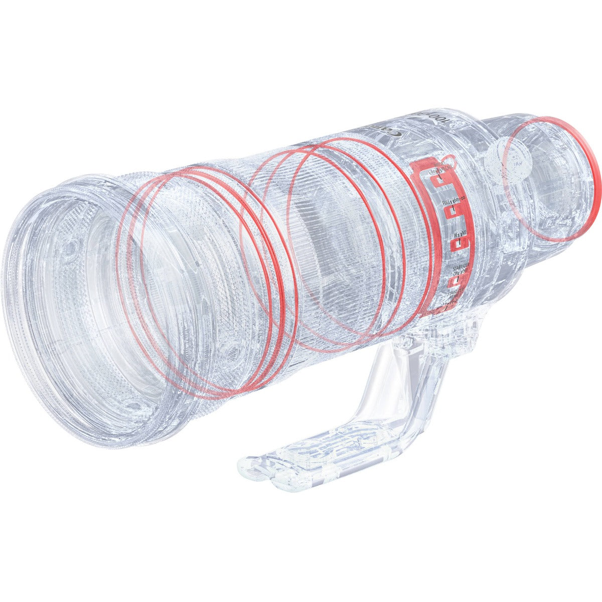 Canon RF 100-300mm f/2.8L IS USM Lens
