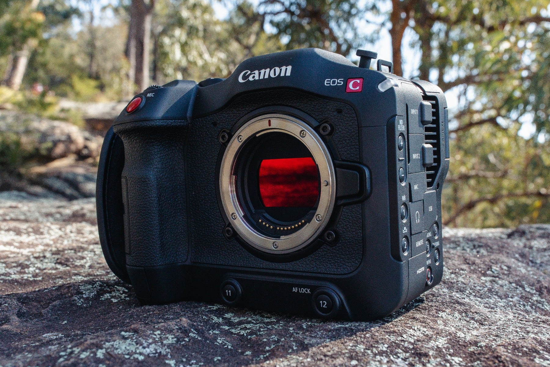 Canon C70 Body   