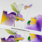 Canson Infinity Rag Photographique II 310GSM (1524mm x 12m)