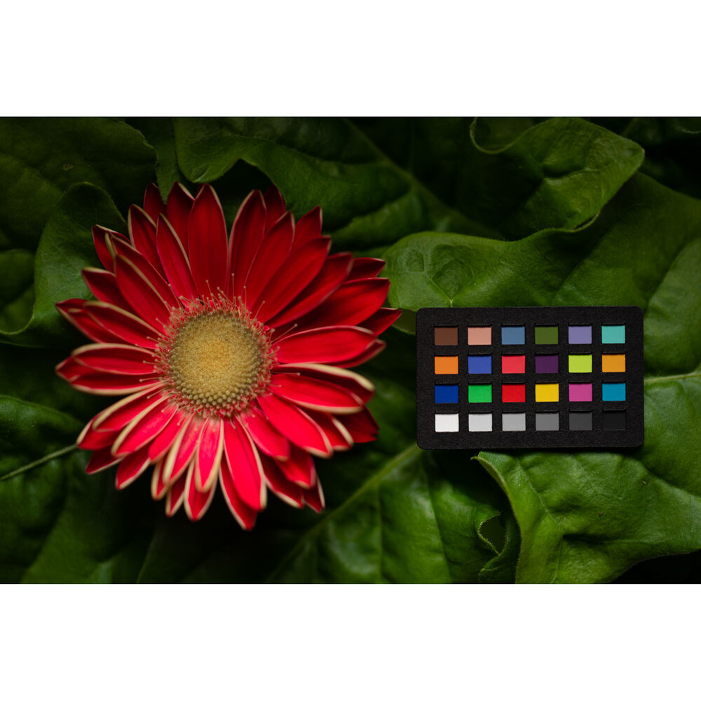 Calibrite ColorChecker Classic Nano