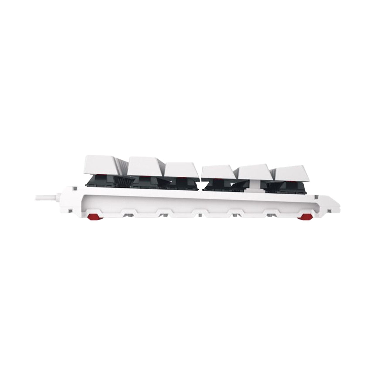 Cherry MX 1.1 TKL Gaming Keyboard (White) (MX Brown Switch)