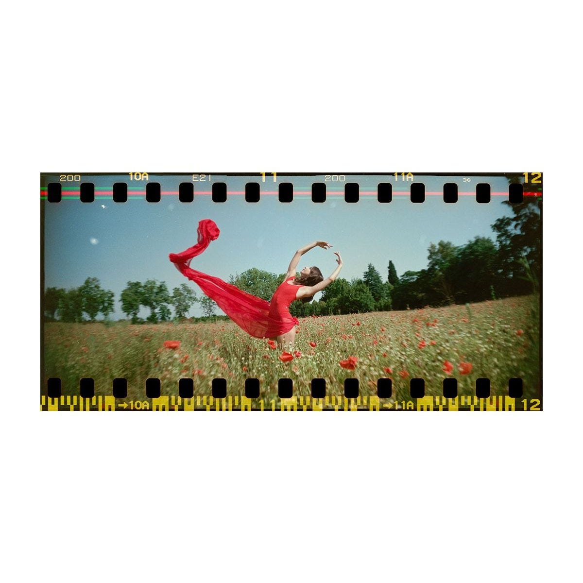 Lomography Sprocket Rocket Camera - Peacock