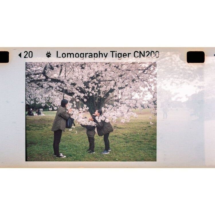 Open Box Lomography Lomomatic 110 Camera and Flash - Zebra Crossing
