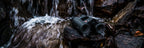 Leica GEOVID Pro 8x32 Binoculars