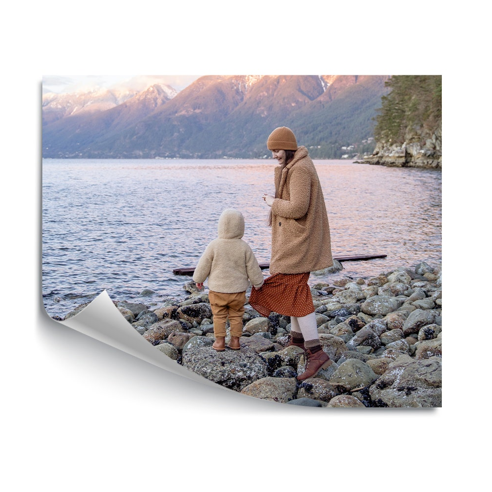 24x20" Poster Print  