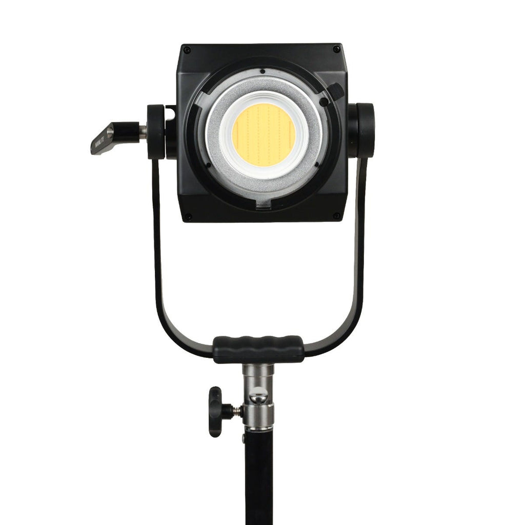 Nanlite Forza 500B II LED Monolight 5600K LED light