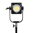 Nanlite Forza 500B II LED Monolight 5600K LED light