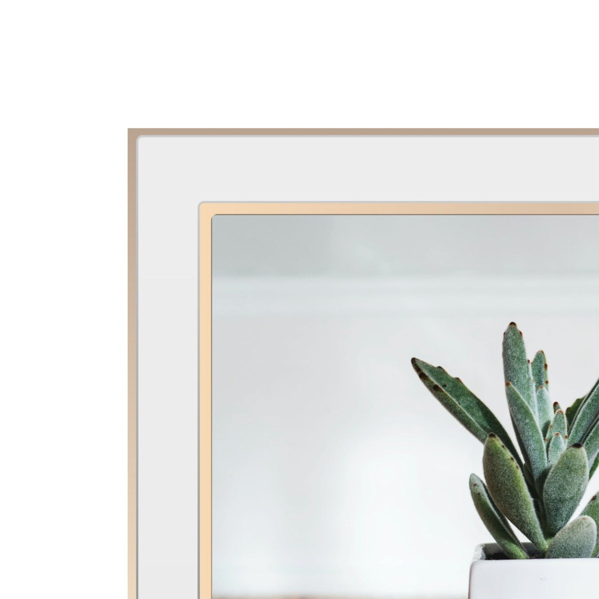 Eternal White Rose Gold 6x8