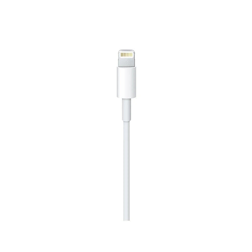 Apple 1m USB-C to Lightning Cable