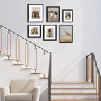 Deluxe Gallery Photo Wall Frame Set B - 6 Frames - Chestnut