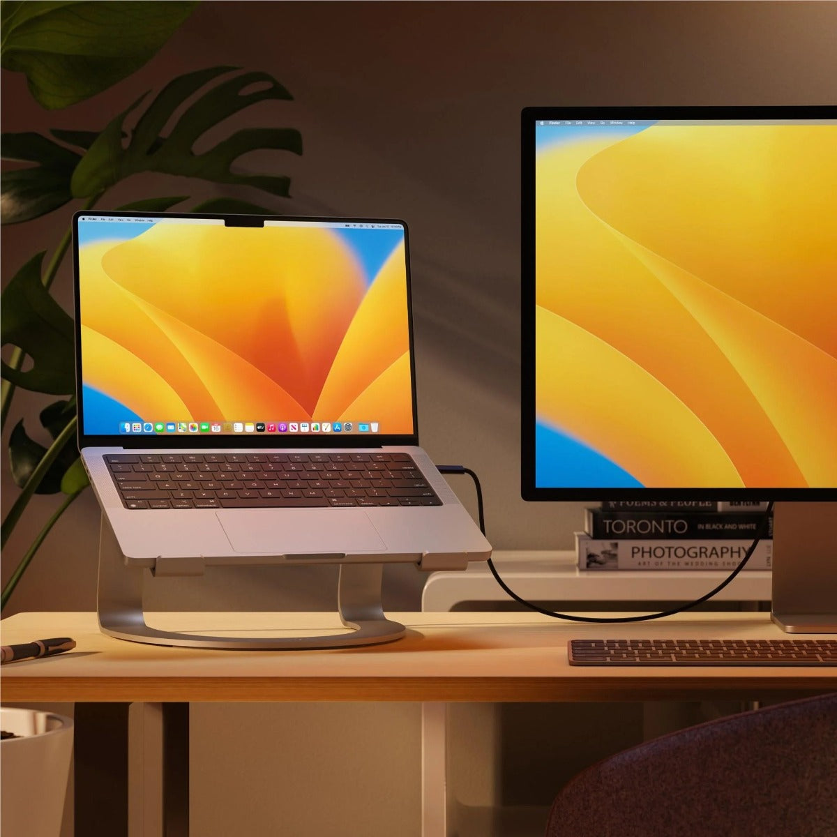 Twelve South Curve SE Stand for MacBooks and Laptops (Silver) 