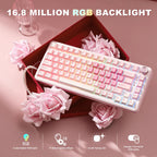 YUNZII B75 Pro 75% Mechanical Keyboard (Pink) (Cocoa Cream Switch) 