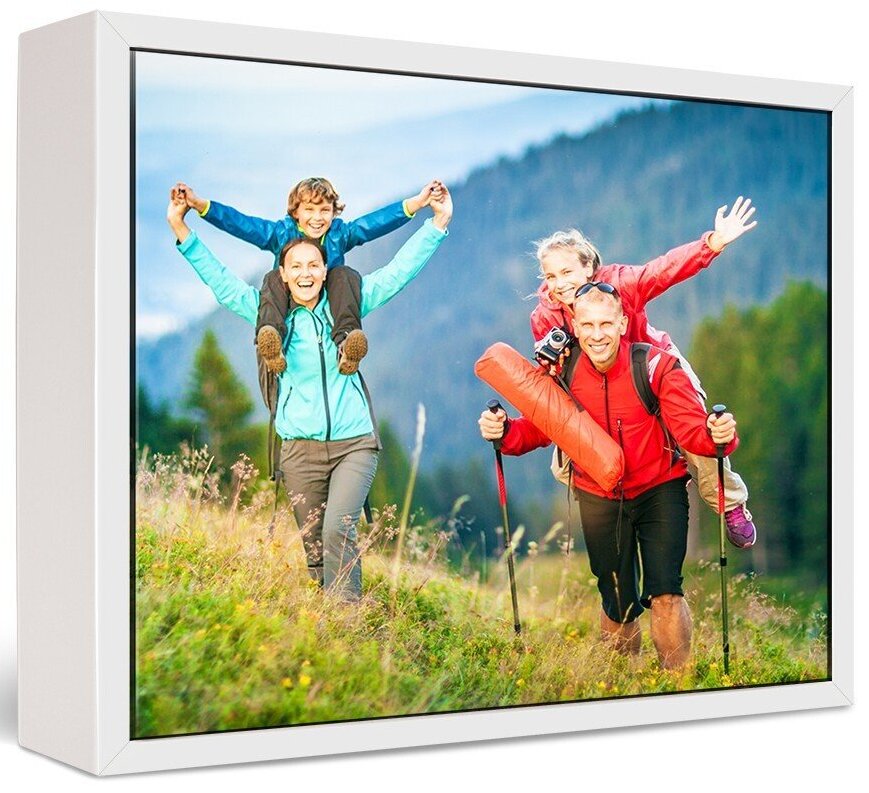20x60" Framed Canvas Prints  