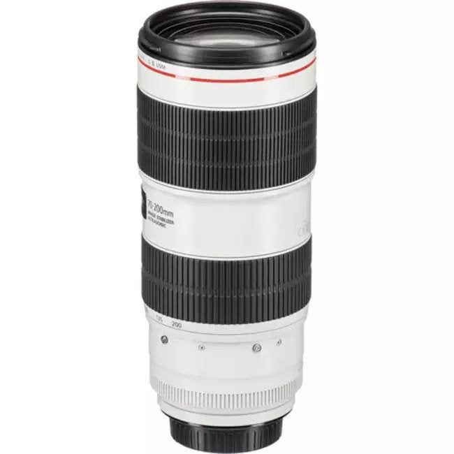 Canon EF 70-200mm f/2.8L IS III USM Lens