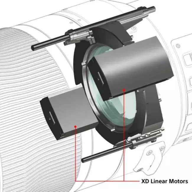 Sony FE 600mm f/4.0 GM Lens  