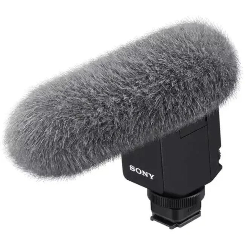 Sony FX5 Essential Kit