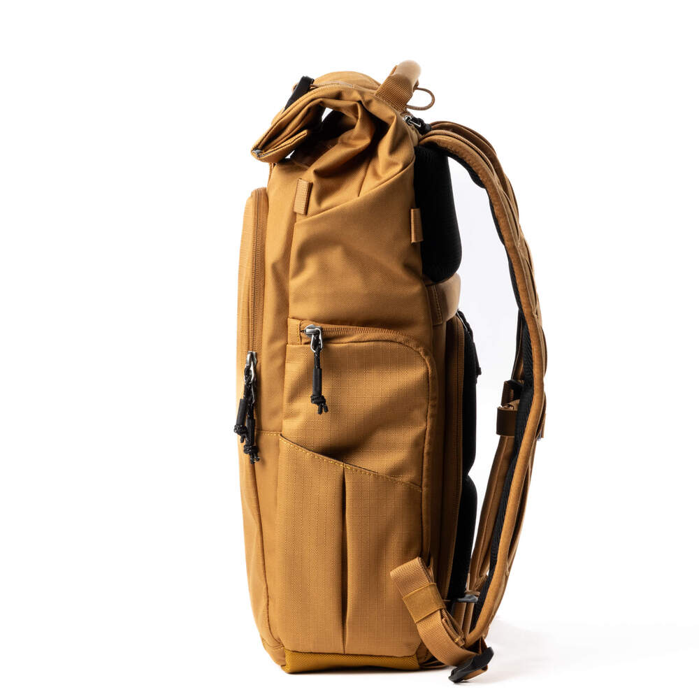 thinkTANK - FocusPoint 22L - Golden Hour