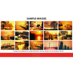  36 Exposures)