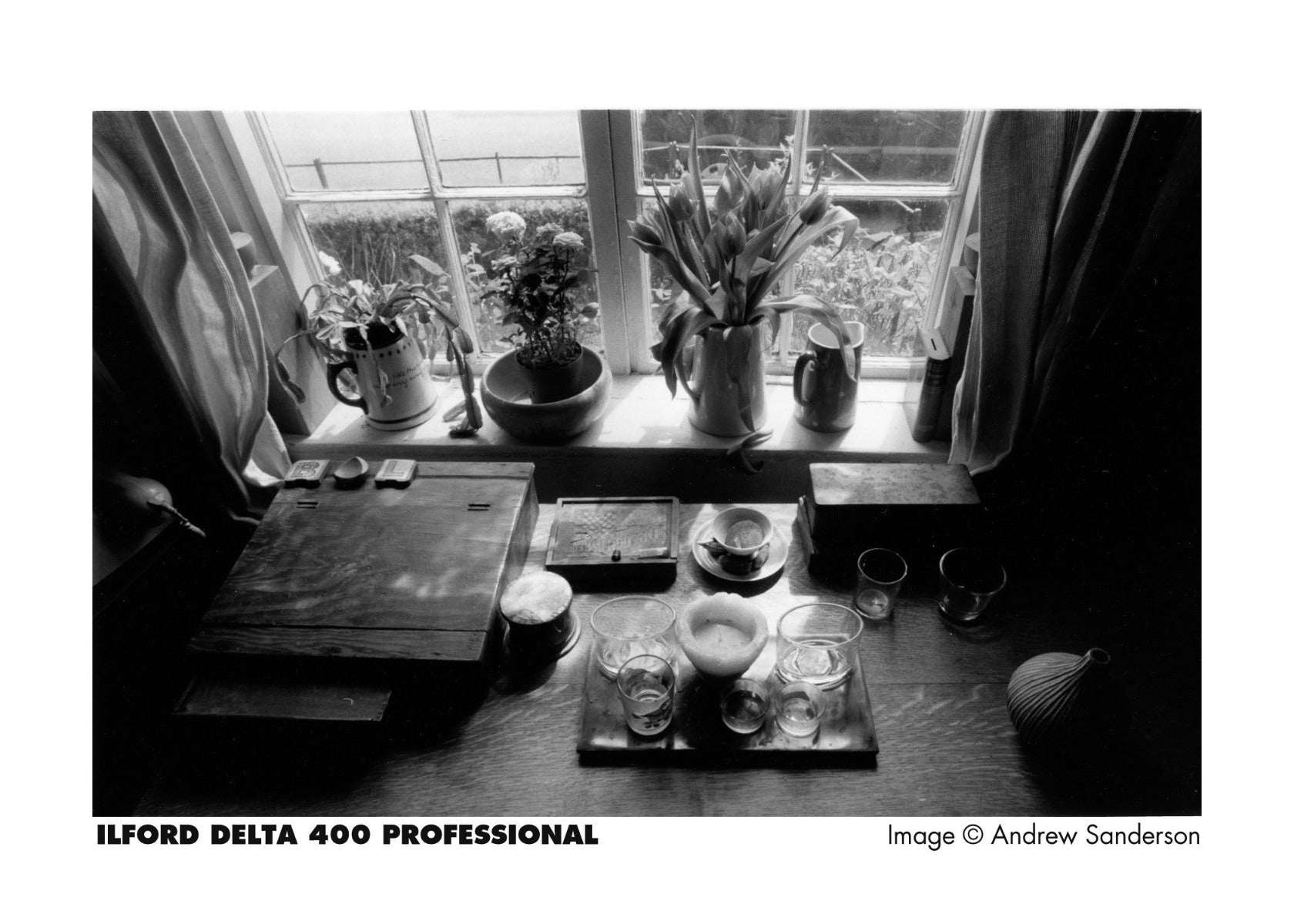 Ilford Delta 400 120 Film