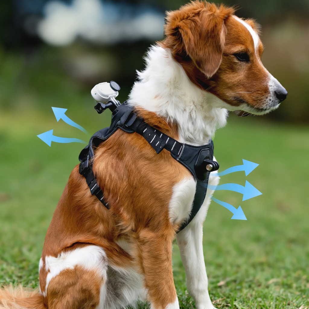 Insta360 GO 3 and GO 3S Pet Harness Mount Size M