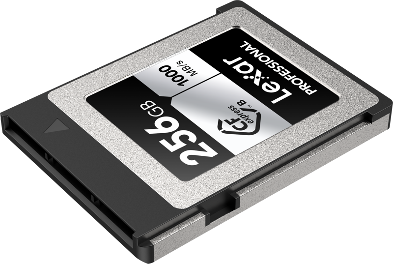 Lexar Professional Silver Series CFexpress Type B Card - 256GB