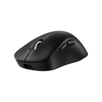 Logitech G PRO X Superlight 2 DEX LIGHTSPEED Wireless Gaming Mouse (Black)
