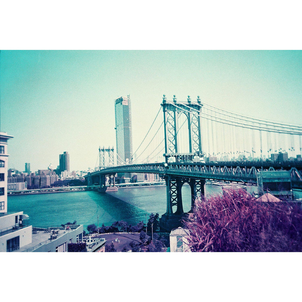 Lomography 110 ISO 100-400 - LomoChrome Purple