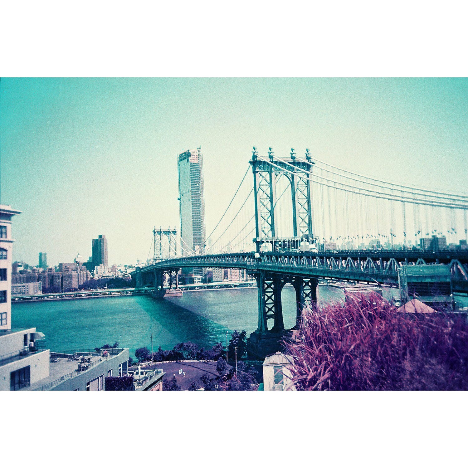 Lomography 110 ISO 100-400 - LomoChrome Purple